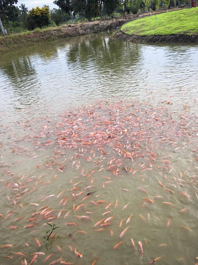 Menam Resort Nakhon Pathom Εξωτερικό φωτογραφία