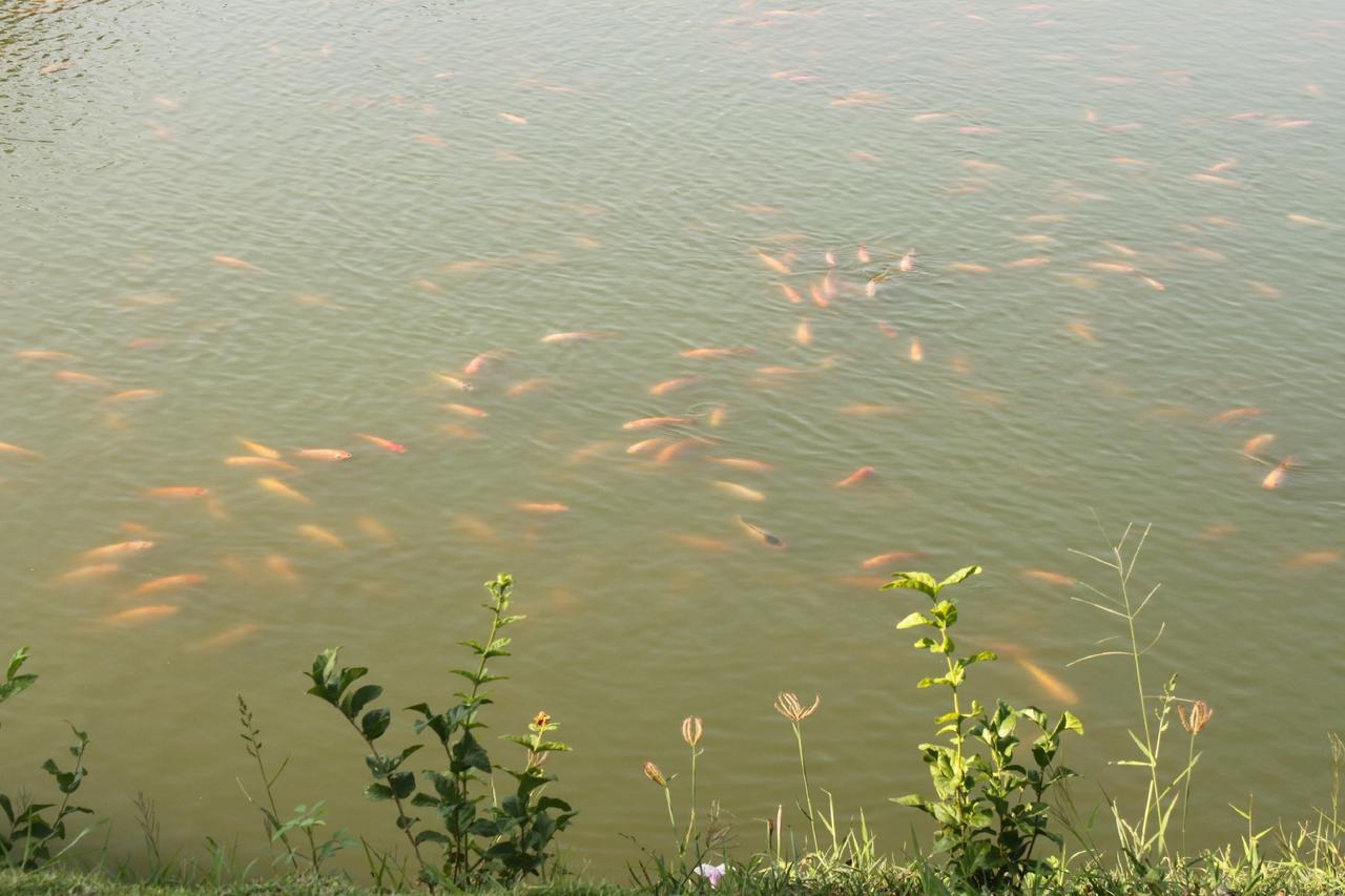 Menam Resort Nakhon Pathom Εξωτερικό φωτογραφία